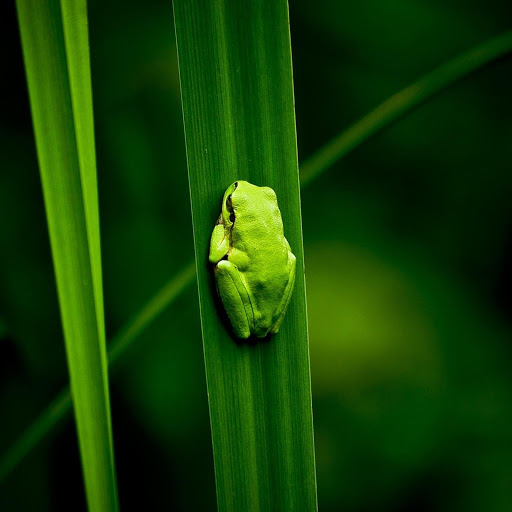 Hd-179031-ascw179031