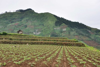 DSC_0830.jpg