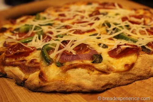 no-knead-pizza-dough034