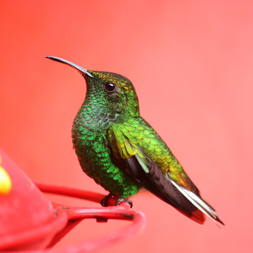 Hd-161675-ascw161675