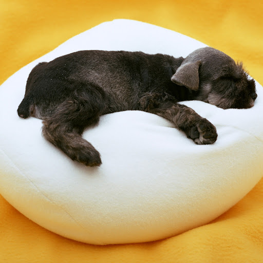 Hd-145057-ascw145057