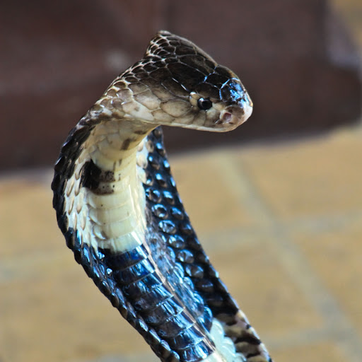 Hd-167645-ascw167645