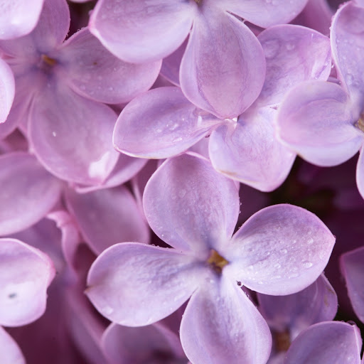 Hd-157833-ascw157833