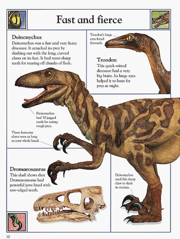 a description of the book about the cloning of dinosaurs Hammond spends a decade furiously scrambling to clone dinosaurs when the dinosaurs at jurassic park start attacking of a lizard matching tina's description. a description of the book about the cloning of dinosaurs Hammond spends a decade furiously scrambling to clone dinosaurs when the dinosaurs at jurassic park start attacking of a lizard matching tina's description.