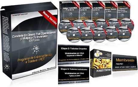 DOMINANDO FOREX [ Curso Multimedia ] – Curso Forex. Cómo ganar dinero y multiplicar tu inversión dominando el mercado Forex