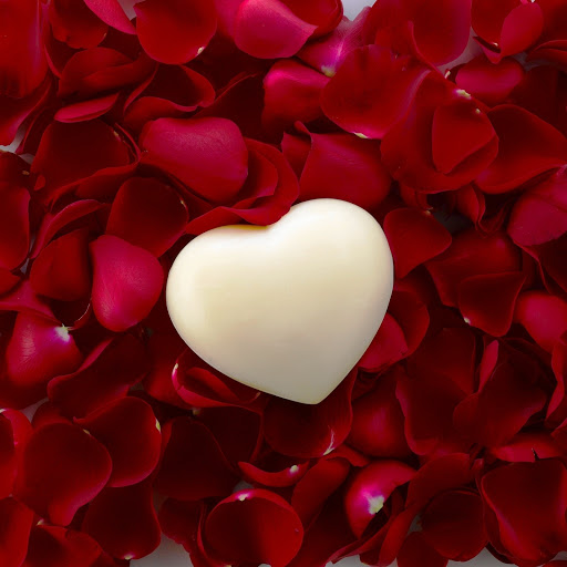 Hd-179800-ascw179800