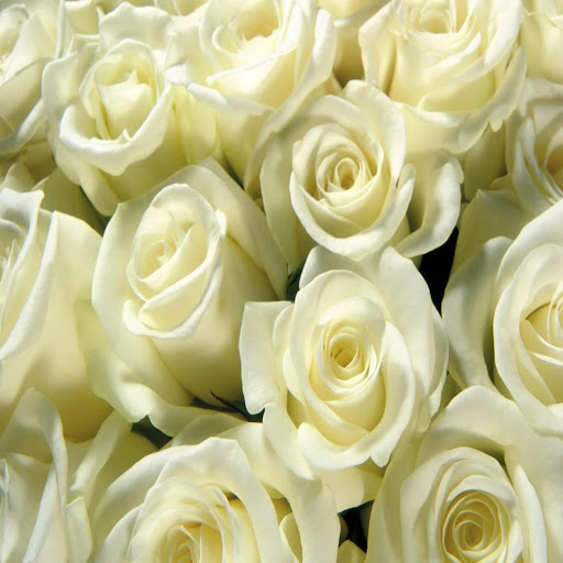 Hd-169668-ascw169668