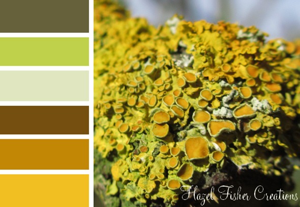 014 colour palette lichen