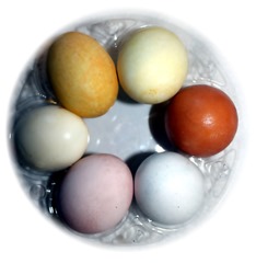 naturalne barwniki do jajek 1
