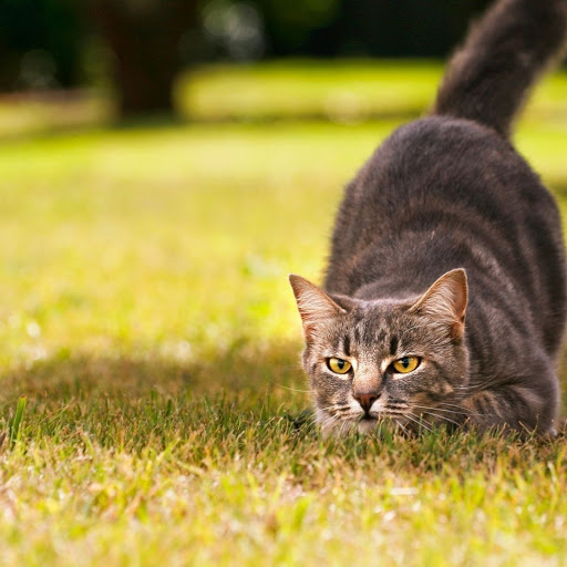 Hd-161120-ascw161120