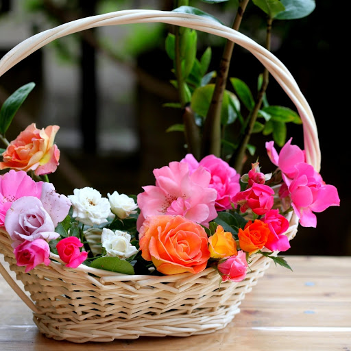 Hd-165739-ascw165739