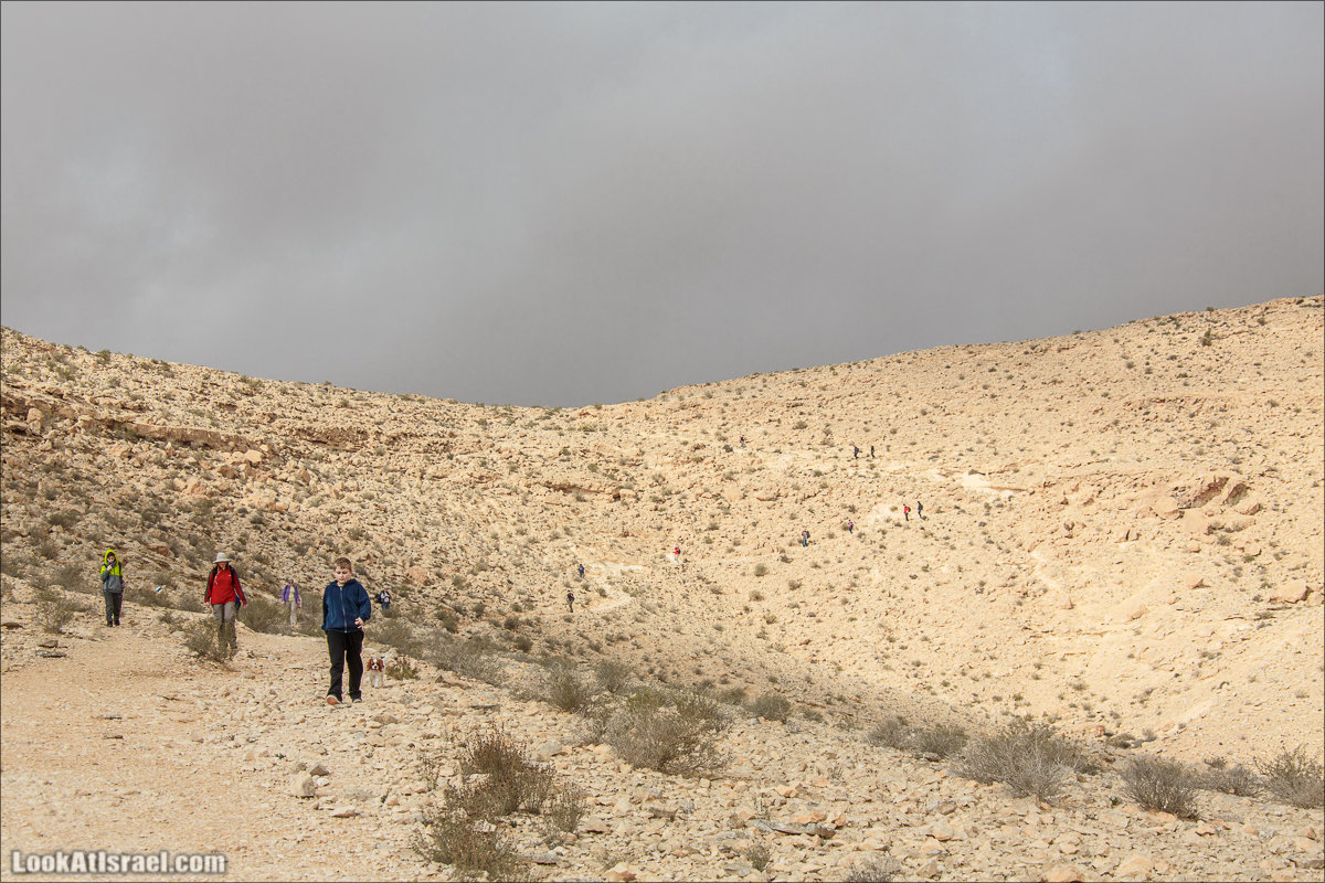 Лунные пейзажи пустыни Негев | Lunar landscapes of the Negev | LookAtIsrael.com - Фото путешествия по Израилю