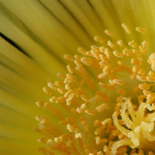 Hd-141588-ascw141588