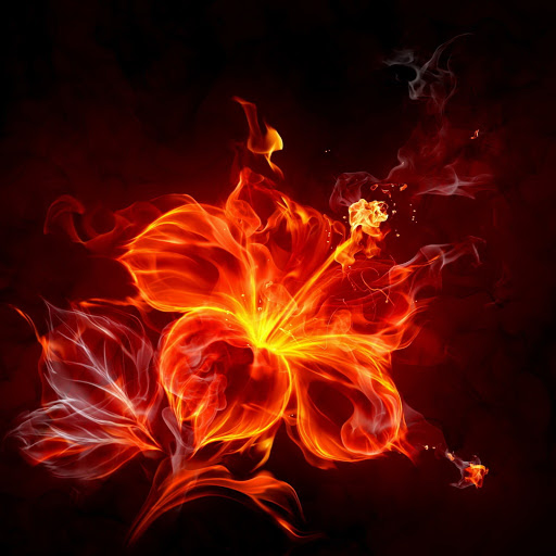 Hd-135714-ascw135714