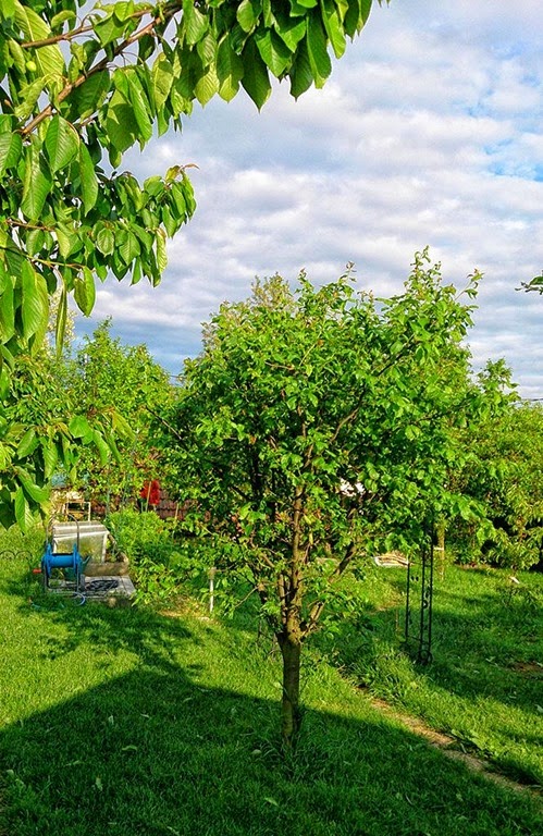 [DSC_1909_re%255B2%255D.jpg]