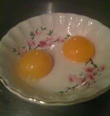 [egg-yolks4.jpg]