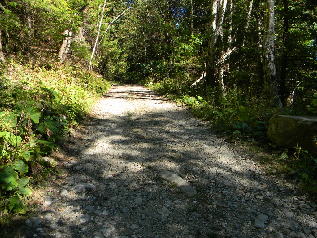 [DSCN67533.jpg]