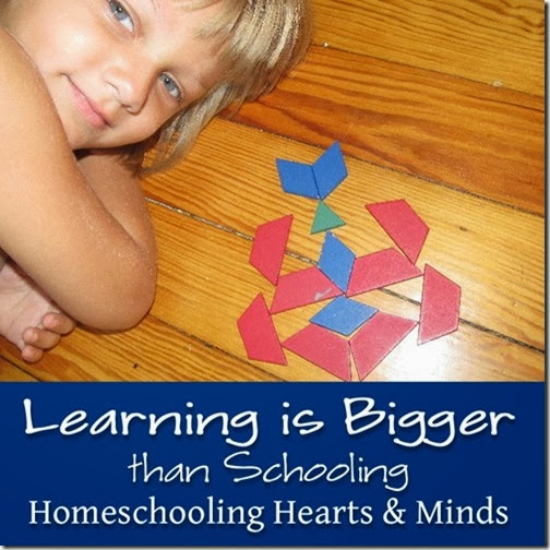 learning is bigger than schooling
