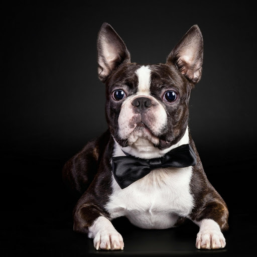 Hd-183176-ascw183176