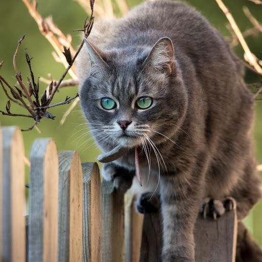 Hd-178518-ascw178518