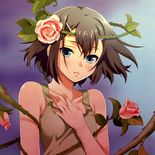 Hd-162406-ascw162406