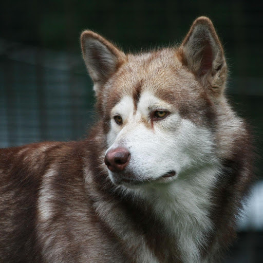 Hd-184858-ascw184858