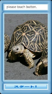 Free Download インドホシガメパズル APK for Android