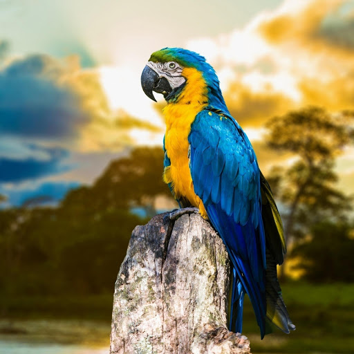 Hd-177880-ascw177880