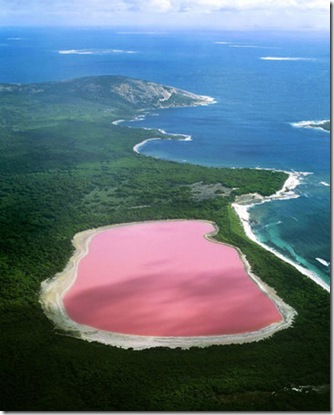 lacul roz-australia
