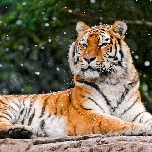 Hd-152786-ascw152786