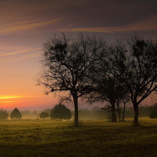 Hd-132401-ascw132401