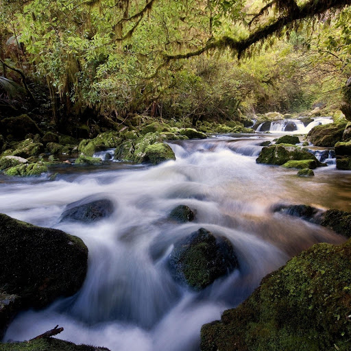 Hd-132196-ascw132196