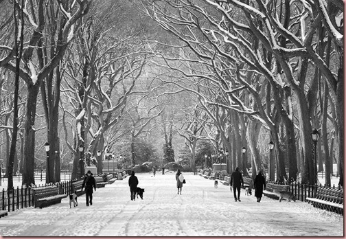 poets_walk_winter-fm1