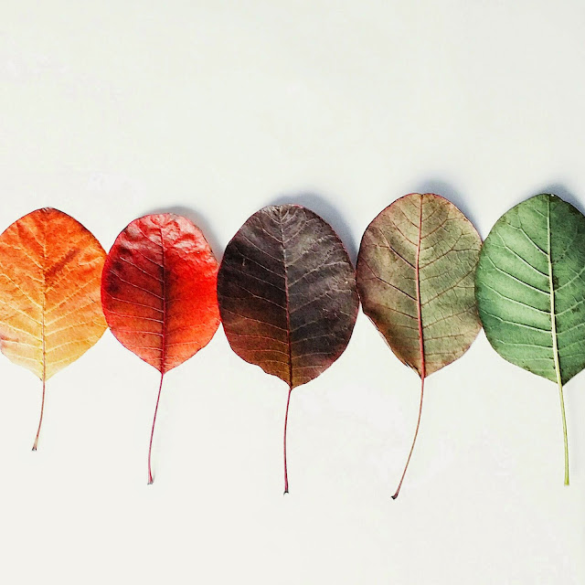 Wer jetzt kein Haus hat, baut sich keines mehr ... Inspirationen für die poetische Herbstdeko mit Rainer Maria Wer jetzt kein Haus hat, baut sich keines mehr ... Inspirationen für die poetische Herbstdeko mit Rainer Maria