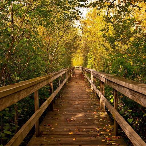 Hd-180778-ascw180778