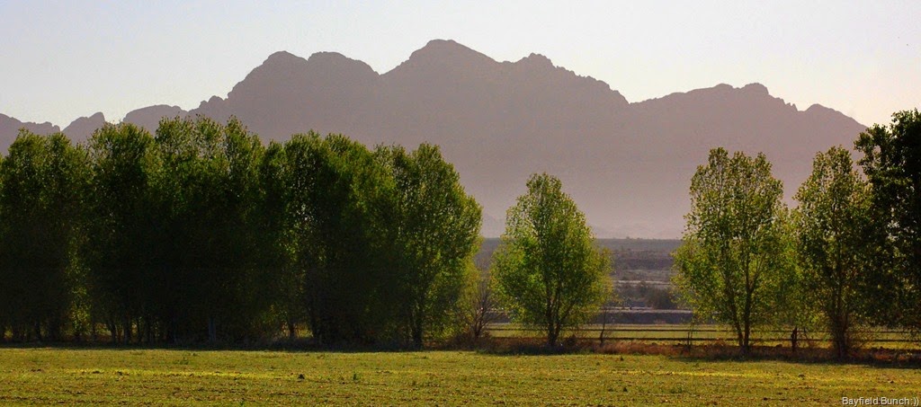 [DSC_3338%255B4%255D.jpg]