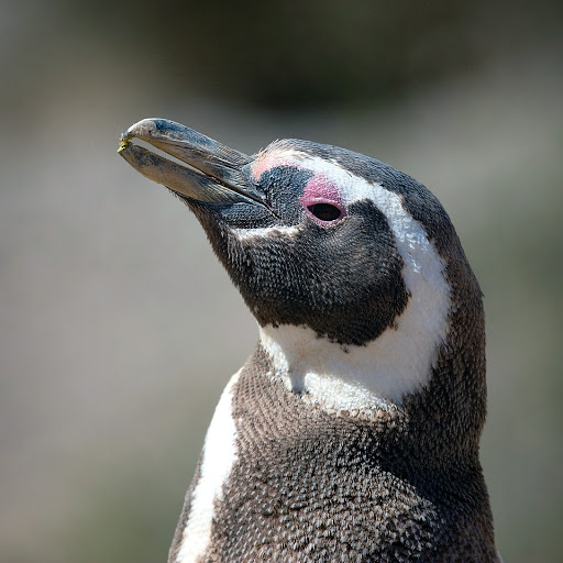 Hd-175493-ascw175493