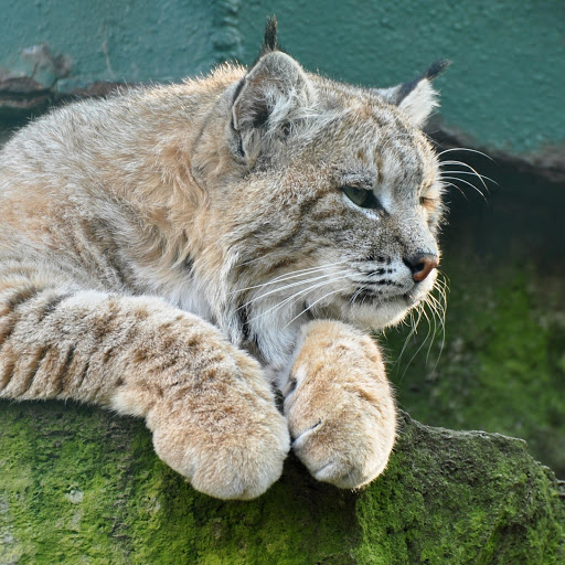 Hd-177213-ascw177213