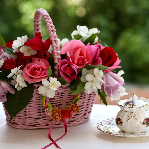 Hd-177915-ascw177915