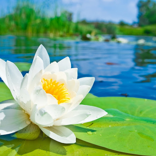 Hd-148465-ascw148465