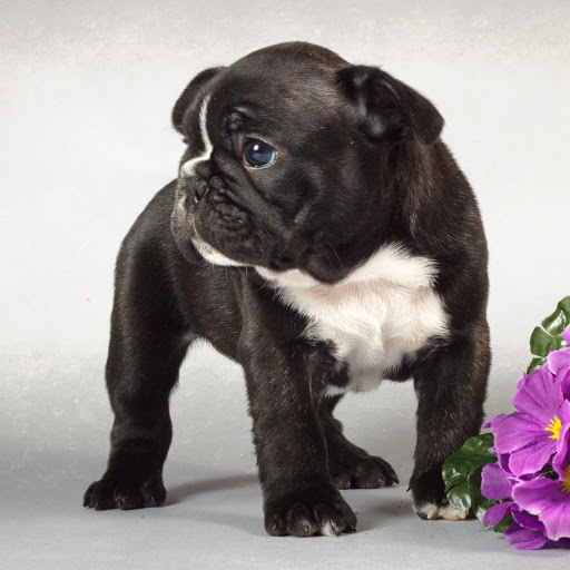 Hd-173561-ascw173561