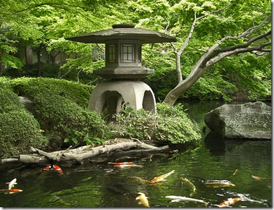 japanese water garden design
