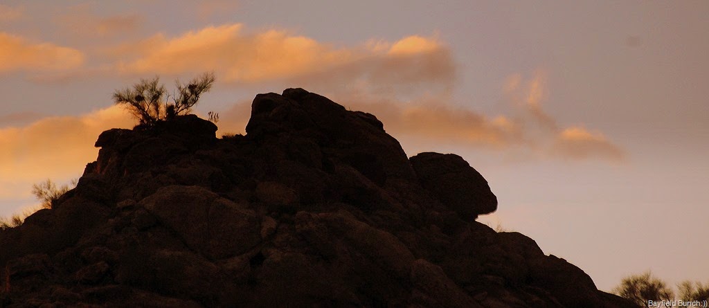 [DSC_2824%255B3%255D.jpg]