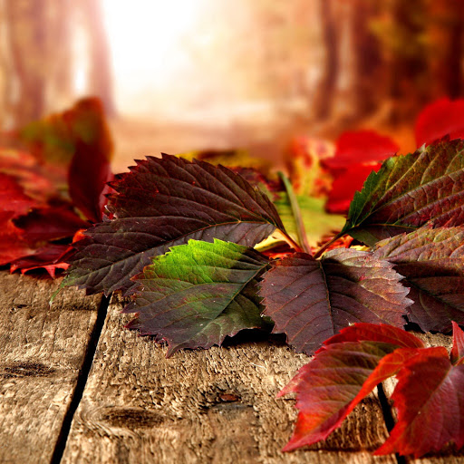 Hd-131064-ascw131064