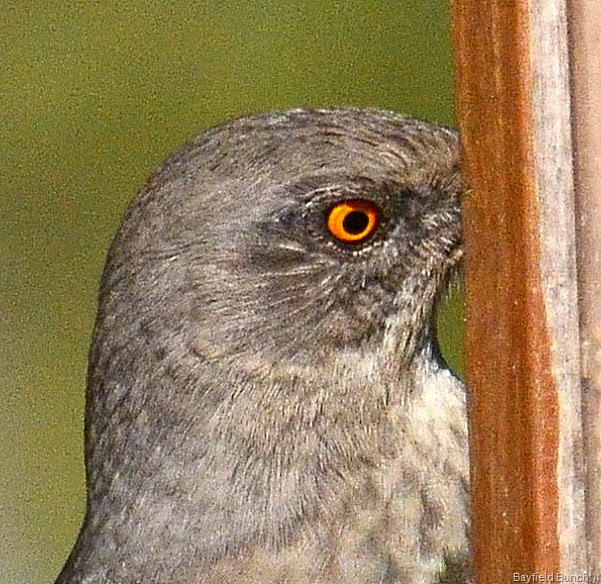 [DSC_0001%255B4%255D.jpg]