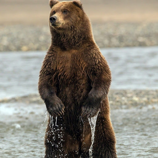 Hd-180402-ascw180402