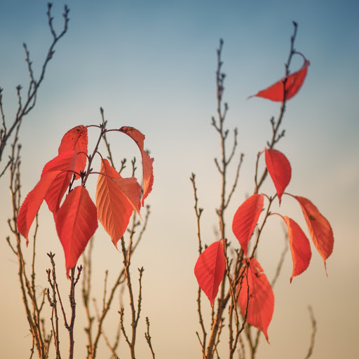 Hd-158145-ascw158145