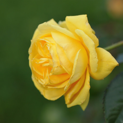 Hd-140618-ascw140618