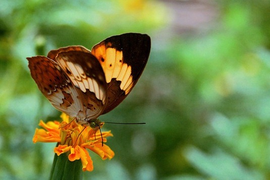 [clip_image017%255B4%255D%255B2%255D.jpg]