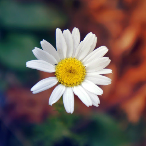 Hd-183641-ascw183641